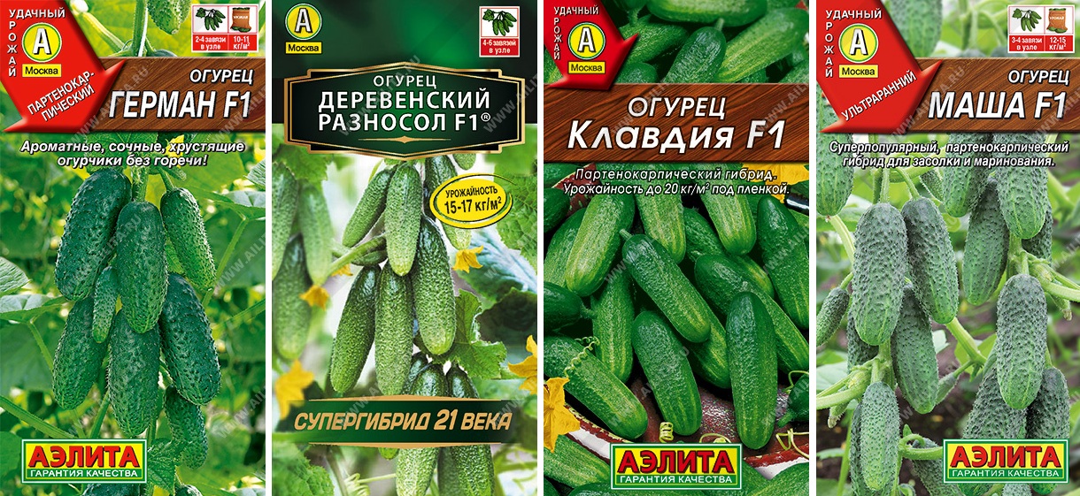 Набор семян Огурца 4 сорта
