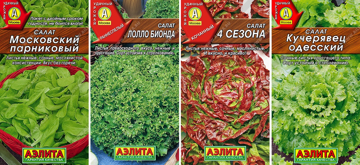 Набор семян Салата 4 сорта