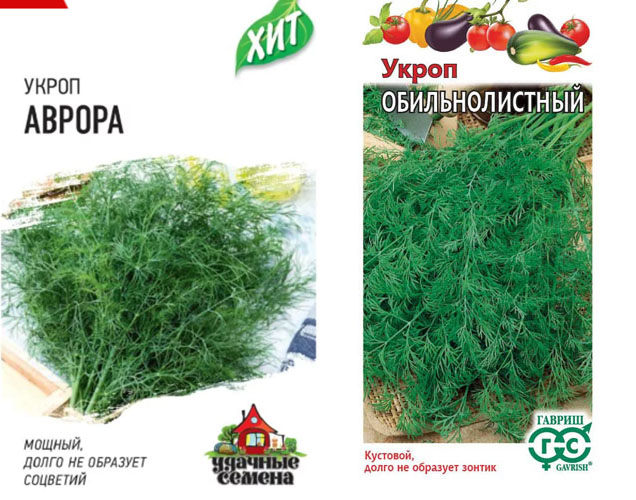 Набор семян Укропа 2 сорта