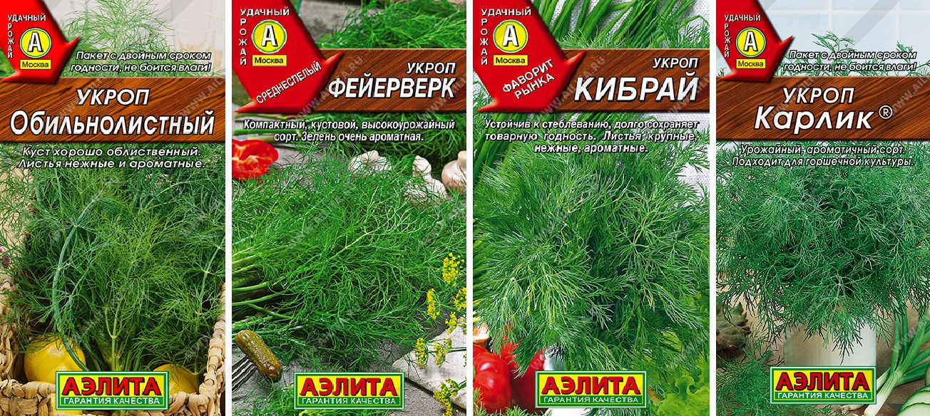 Набор семян Укропа 4 сорта